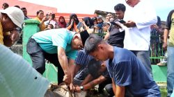 Khidmatnya Idul Adha di Simalungun, Bupati Turun Langsung Sembelih Hewan Kurban