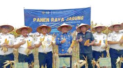 Panen Raya Jagung Lapas Labuhan Ruku Jadi Wadah Pembinaan Kemandirian Warga Binaan