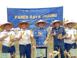 Panen Raya Jagung Lapas Labuhan Ruku Jadi Wadah Pembinaan Kemandirian Warga Binaan