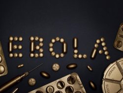 Israel Siaga Ebola, Hasil Tes Pelancong dari Kongo Ditunggu 48 Jam