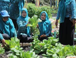 Jelang Lomba HKG PKK Sumut, TP-PKK Asahan Cek Kesiapan Desa Percontohan