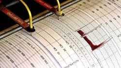 Gempa M 7,1 Guncang Kumamoto Jepang, Peringatan Tsunami Dikeluarkan