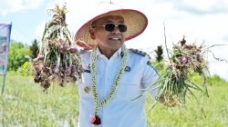 Bupati Simalungun Serahkan Alsintan dan Panen Raya Bawang Merah