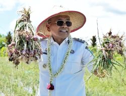 Bupati Simalungun Serahkan Alsintan dan Panen Raya Bawang Merah