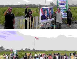 Merah Putih Berkibar di Hutan Mangrove Sergai: Doakan Pimpinan Negara, Rawat Mangrove Tolak Abrasi