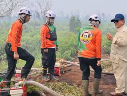Usai Ratas Karhutla, Presiden Prabowo Tinjau Lokasi Kebakaran di Kubu Raya