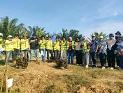 PTPN IV Regional VI Tanam 248 Pohon, Lepas 2.310 Ikan Nila dan Burung di Aceh Timur