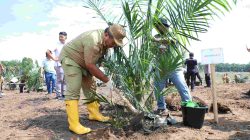Bupati Asahan Tanam Perdana Peremajaan Sawit Rakyat dan Padi Gogo Sistem Tumpangsari