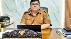 Pemkab Simalungun Dukung Investasi Cable Car Danau Toba, Tunggu Kepastian Lahan 14 Hektare
