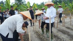 Tanam Jagung di Lahan Rencana Lapas, Warga Binaan Dibekali Keterampilan Bertani Sebelum Bebas