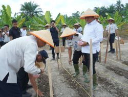 Tanam Jagung di Lahan Rencana Lapas, Warga Binaan Dibekali Keterampilan Bertani Sebelum Bebas