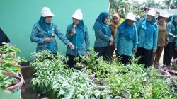 Ketua TP PKK Asahan Pantau Persiapan Lomba “Aku Hatinya PKK” Tingkat Provinsi
