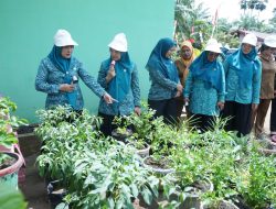 Ketua TP PKK Asahan Pantau Persiapan Lomba “Aku Hatinya PKK” Tingkat Provinsi