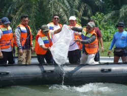 Festival Sungai Asahan Digelar: Jalin Kepedulian, Tanam Pohon dan Lepas Benih Ikan