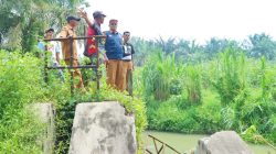 Pemkab Simalungun Cek Dua Bendung Rusak, Ratusan Hektare Sawah Terdampak