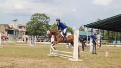 Rico Waas Dukung Kejuaraan Berkuda Equestrian Piala Wali Kota Medan 2026, Pordasi Bidik Atlet Berprestasi